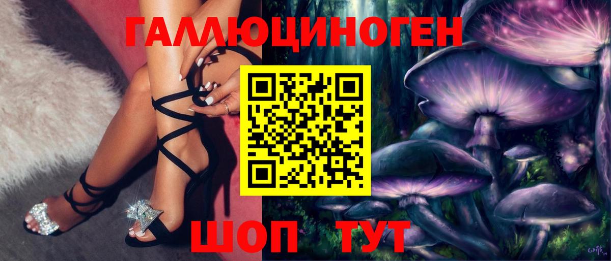 Обь  Галлюциногенные грибы Psilocybe  Вход с VPN  Псилоцибиновые грибы прущие грибы 
