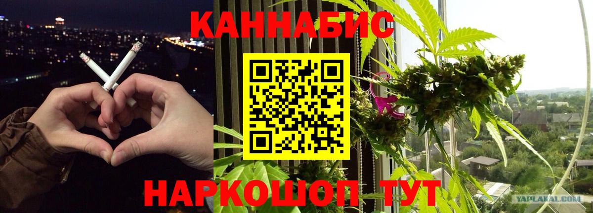 Бошки Шишки план Обь